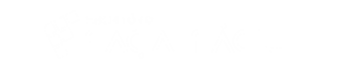logo2.png
